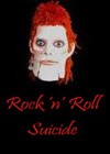 Rock and Roll Suicide.jpg